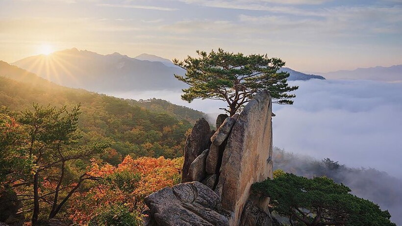 South Korea